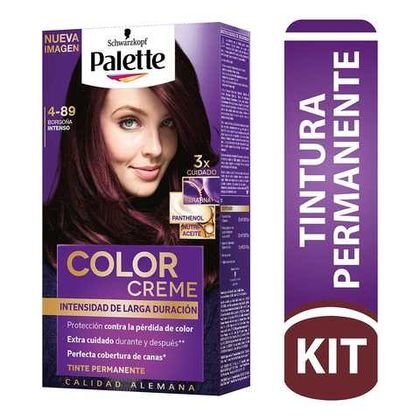 TINTE PALETTE COLOR BORGOÑA INTENSO 4-89