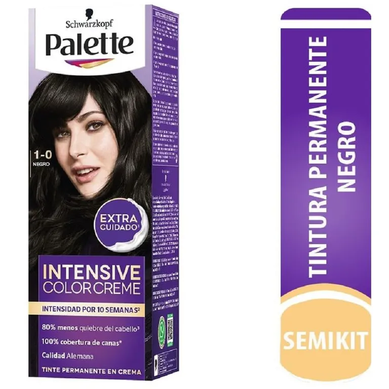 TINTE PALETTE COLOR NEGRO 1-0